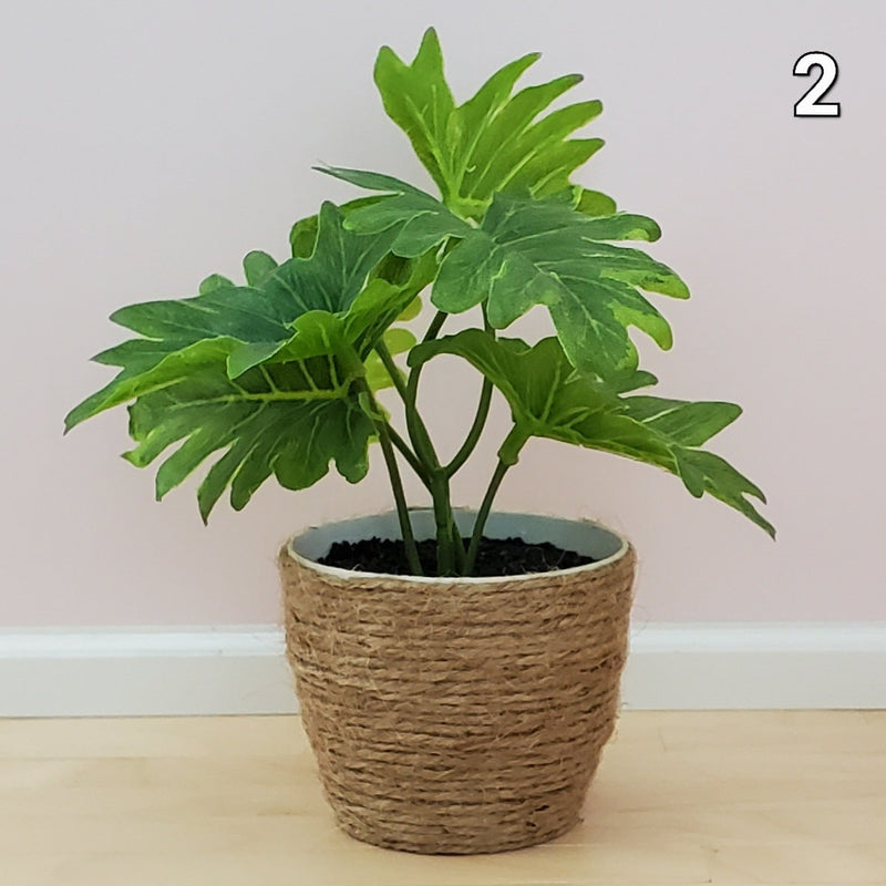 Miniature Plants in Jute basket - Large | Mini Monstera or Philodendron | For Roomboxes and Dollhouses