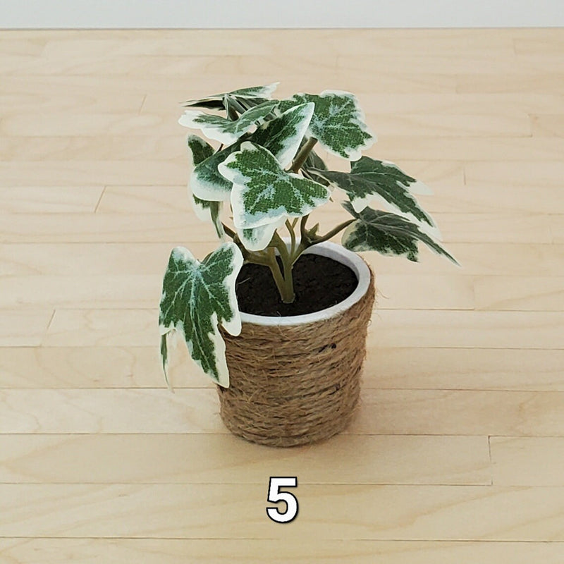 Miniature plants in jute basket - small