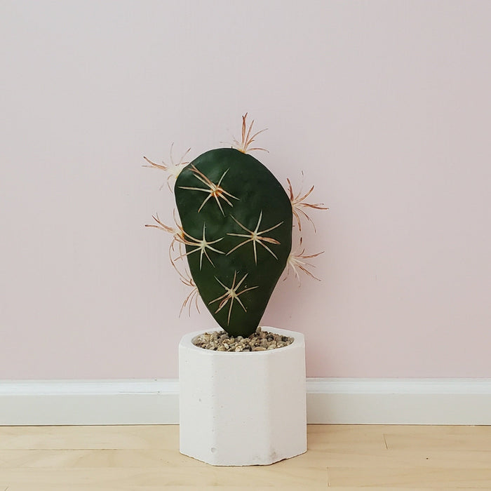 Miniature floor plants in concrete pot - 1:6 scale