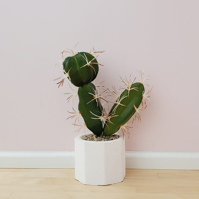 Miniature floor plants in concrete pot - 1:6 scale